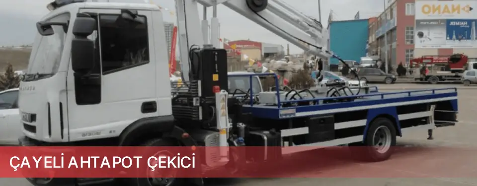 Çayeli İlçemi Ahtapot Çekici