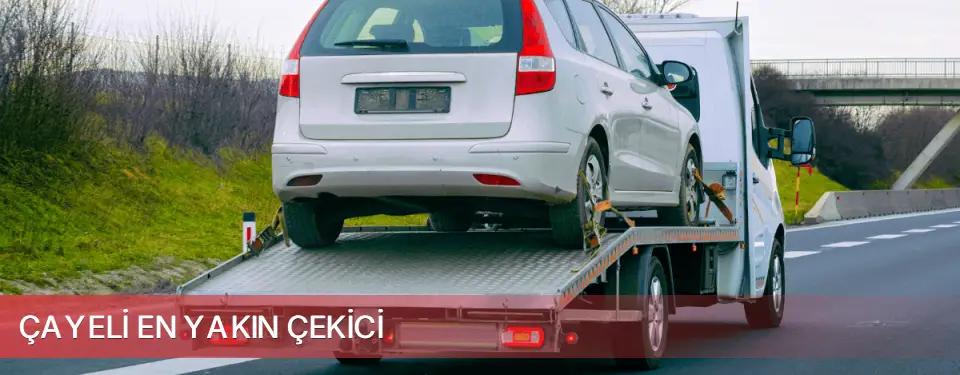 Çayeli İlçemi En Yakın Çekici