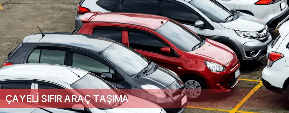 Çayeli İlçemi Sıfır Araç Taşıma